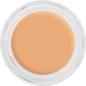 Preview: Digital Complexion Cream Foundation - 12 g - Y26